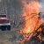 В ЯНАО зафиксированы десятки лесных пожаров. Огонь прошел больше тысячи гектаров