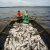 Жителей ЯНАО возмутили расценки на выловленную рыбу