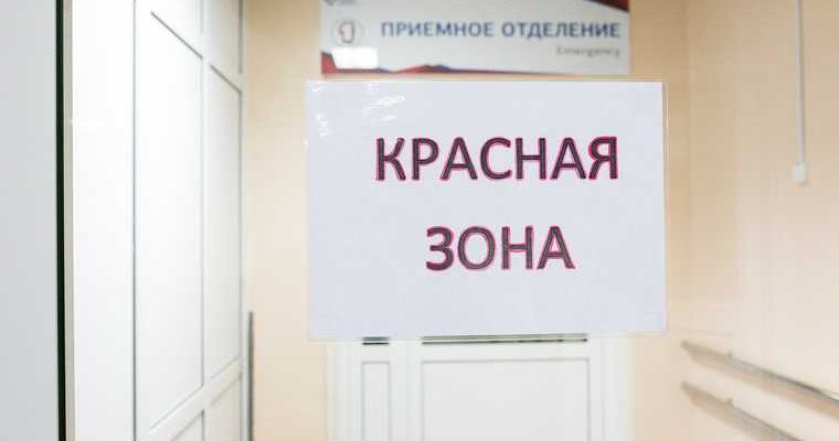 Свердловская область губернатор Куйвашев невыплаты медикам Качканар пресс-конференция Путина